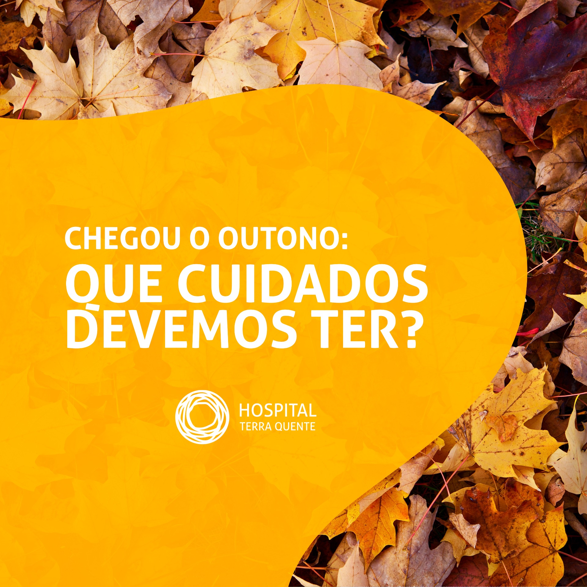 Chegou o Outono: que cuidados devemos ter?